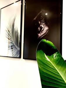 Appartements Jungle garage prive netflix : photos des chambres