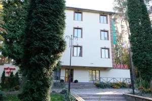 Лісовий готель Гайки - 日托米尔