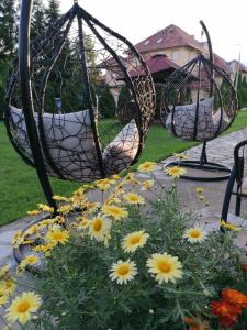 Apartmani Nika Zlatibor