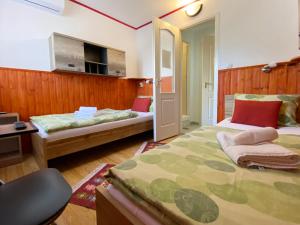 Twin Room room in Hargita Panzio