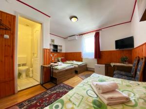 Triple Room room in Hargita Panzio