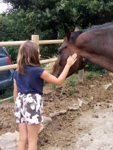 Sejours chez l'habitant Domaine des fees : photos des chambres