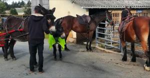 Sejours chez l'habitant Domaine des fees : photos des chambres