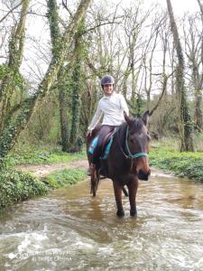 Sejours chez l'habitant Domaine des fees : photos des chambres