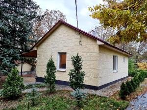 Котедж бiля рiчки село Кудашiвка