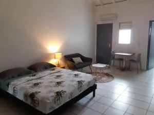 Séjour d’affaires ou de loisirs à Pointe à Pitre - Pointe-à-Pitre