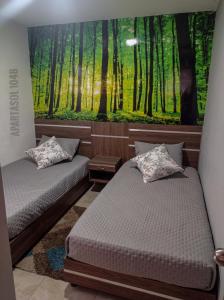 Apartasol, Eje cafetero Reservas de la Colina 104B