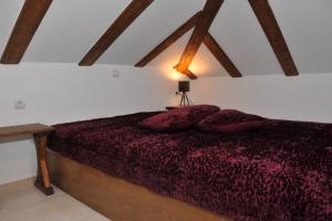 Dominique Meteora House