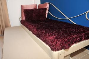 Dominique Meteora House