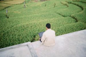 Musa Canggu