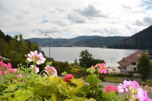 Hotels Les Reflets du Lac : photos des chambres