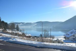 Hotels Les Reflets du Lac : photos des chambres