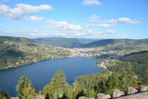 Hotels Les Reflets du Lac : photos des chambres