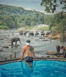 Hotel Elephant Bay - 凯格勒