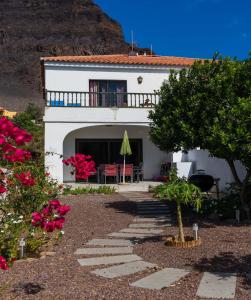 Apartamentos Los Medanos