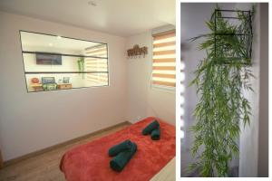 Appartements KASA HOME - Calme, Cosy, WIFI & Netflix : photos des chambres