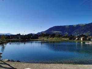 Chalets Chalet Emilie : photos des chambres