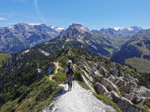 Chalets Chalet Emilie : photos des chambres