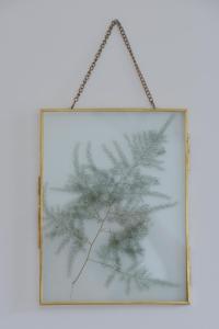 B&B / Chambres d'hotes Le Bivouac - Toulouse : photos des chambres