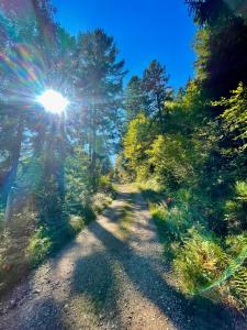 Chalets Chalet Des Feignes : photos des chambres