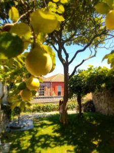 Porto Alegria Garden