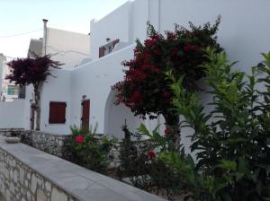 Hotel Irene Paros Greece