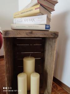 Mountain apartment - Aprica