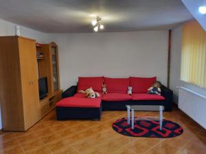 Casa Alex
