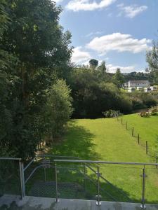 Cottage by the river in Cenarth with fishing and Wifi