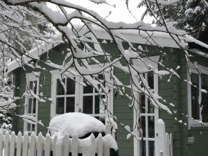 Woodland Cabin With private Wood-Fired Hot-Tub