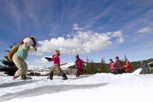 Hotels Belambra Clubs Les Saisies - Les Embrunes - Ski pass included : photos des chambres