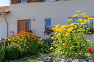 Ferienwohnung Hohenbogen