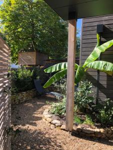 Appartements Cottages du Valcoquet : photos des chambres