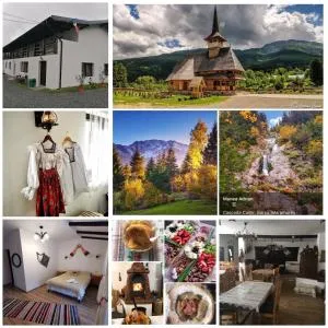 Casa Firuta Borsa - 博尔沙