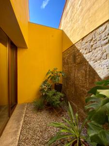 Quinta da Boa Viagem