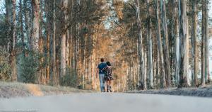 Oakhurst Farm Cottages - Unrated properties in Wilderness