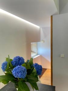 Quinta da Boa Viagem