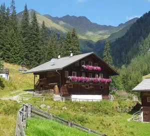 Gallfallalm - Prateria