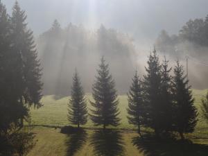 Gîte Vallée Verte