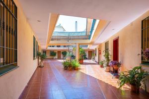 Apartamento El Recreo Torrox by Solset