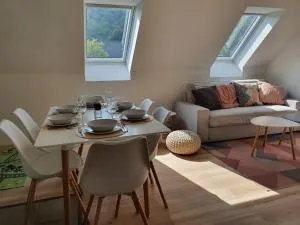 Apartmány Břachovna - Osek
