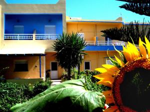 ApartHotel Papafotis Leros Greece