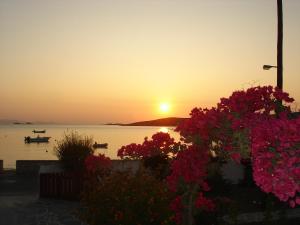 Hotel Irene Paros Greece