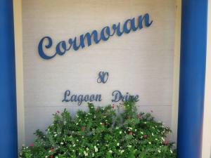 11 CORMORAN Umhlanga