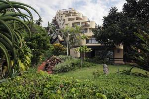 11 CORMORAN Umhlanga