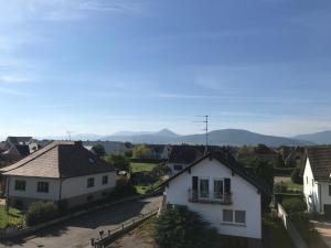 Appartements Appartement chaleureux et lumineux avec vue ! au centre Alsace : photos des chambres