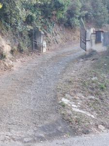 Villas Ribellu : photos des chambres