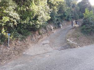 Villas Ribellu : photos des chambres