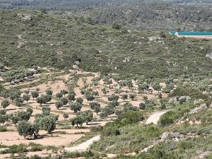 Campo Golden Heritage OFF GRID
