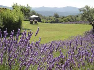 Maisons de vacances La Bastide des Amandiers : photos des chambres